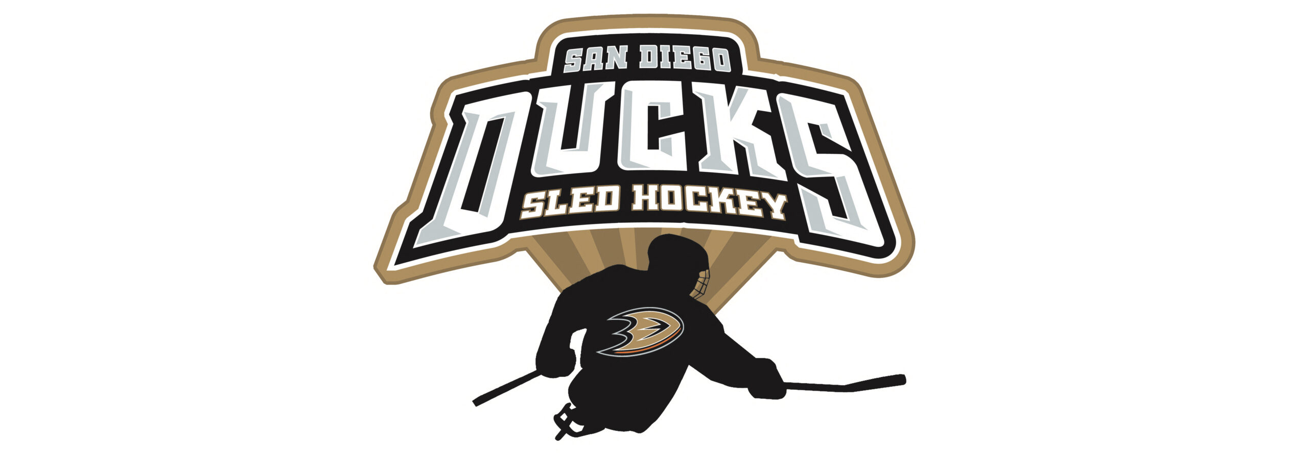 Ducks Sled Hockey
